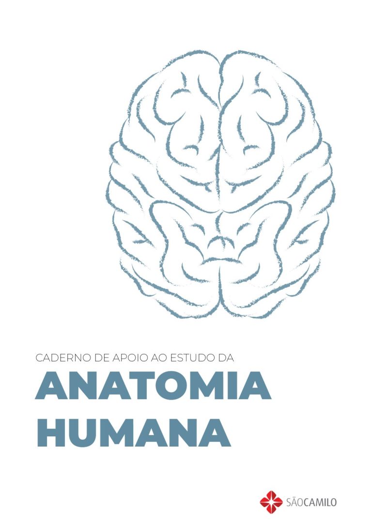 Anatomia Humana